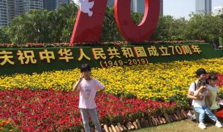植物妈妈有办法课文教案