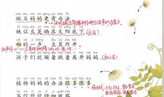 植物妈妈有办法课文教案